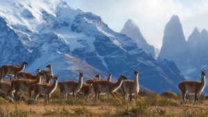 Torres del Paine National Park,South America