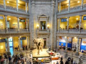 The Smithsonian Institution in Washington D.C,educational place