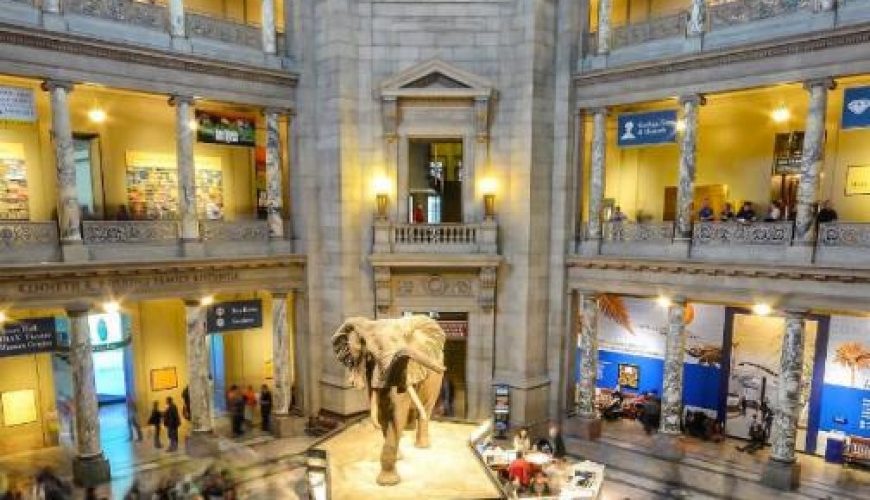 The Smithsonian Institution in Washington D.C,educational place