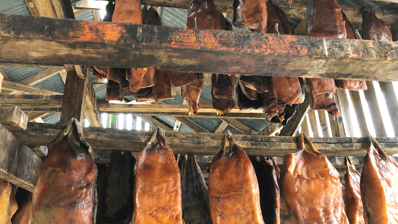 Hákarl,icelandic dishes