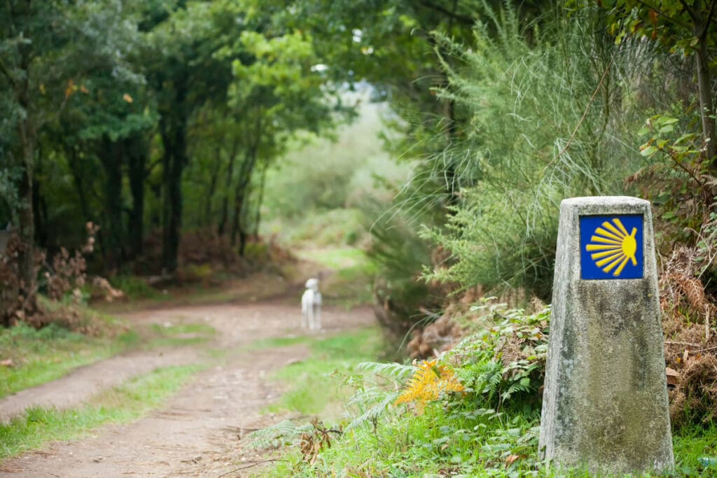 Adventure Trip Ideas,