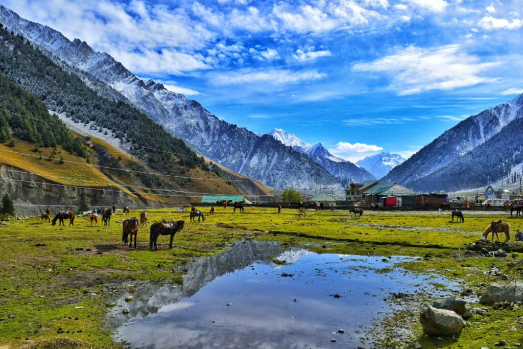 Hidden Places Around the World,Mountain landscape featuring horses grazing near a water body and grassy area.
