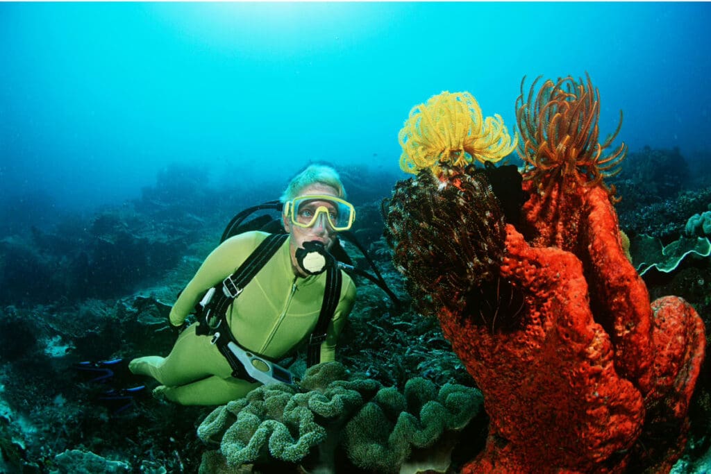 Adventure trip ideas, 
